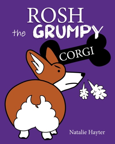 Rosh the Grumpy Corgi