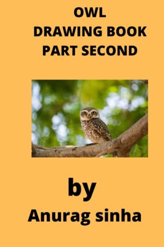 Owl Drawing Book
