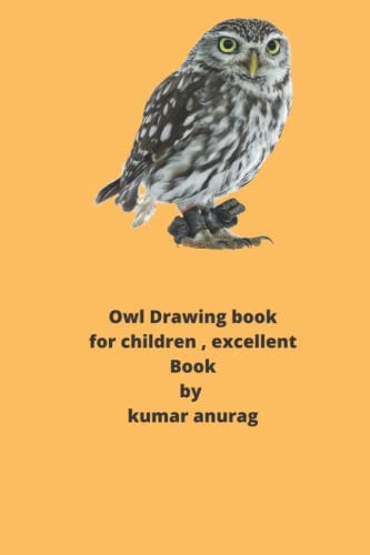 Owl Drawing Book Part Three