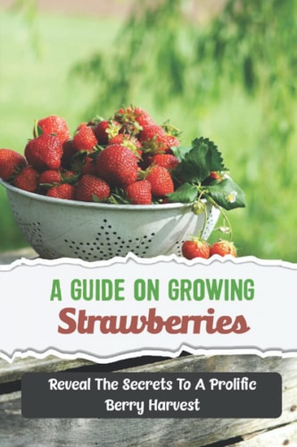 A Guide On Growing Strawberries Reveal The Secrets To A Prolific Berry Harvest