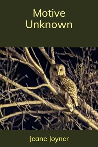 Motive Unknown