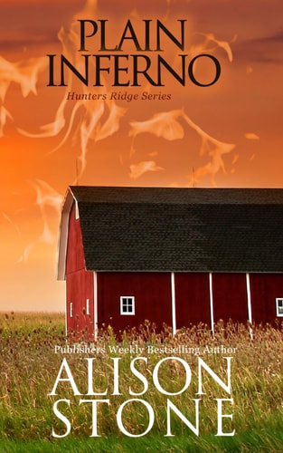 Plain Inferno An Amish Romantic Suspense Novel