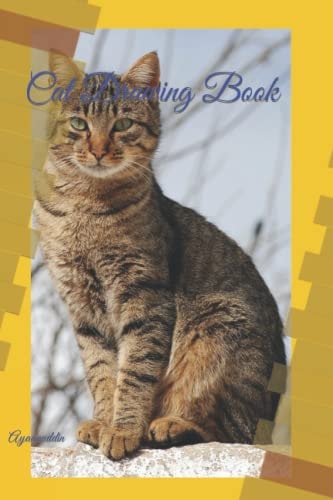 Cat Drawing Book Ayaanuddin