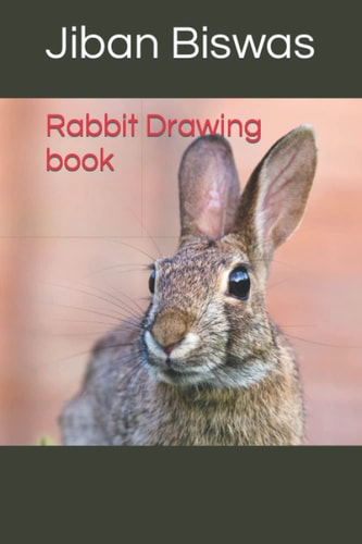 Rabbit Drawing Book