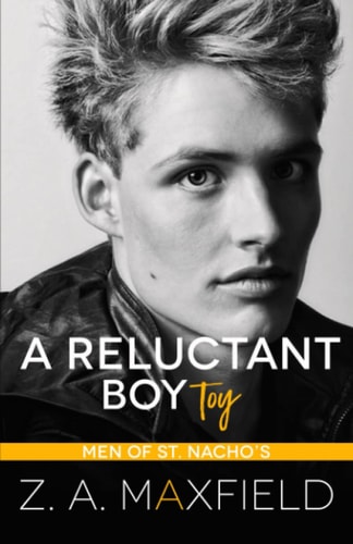 A Reluctant Boy Toy A Demisexual, Bi Awakening Romance