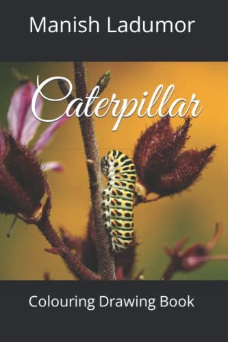 Caterpillar Colouring Drawing Book