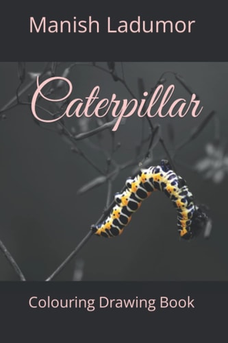 Caterpillar Colouring Drawing Book