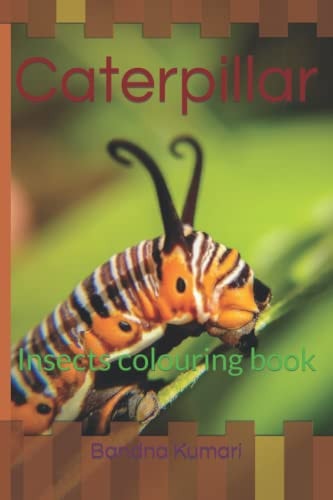 Caterpillar Insects Colouring Book