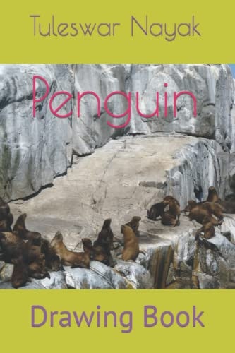 Penguin Drawing Book