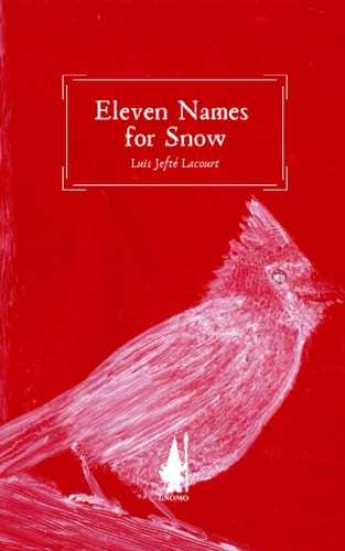 Eleven Names for Snow