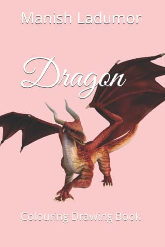 Dragon Colouring Drawing Book