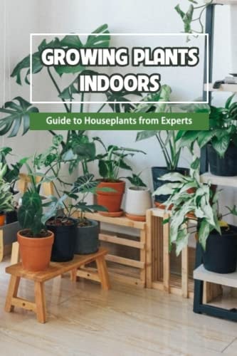 Growing Plants Indoors Guide to Houseplants from Experts