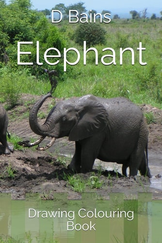 Elephant Drawing Colouring Book
