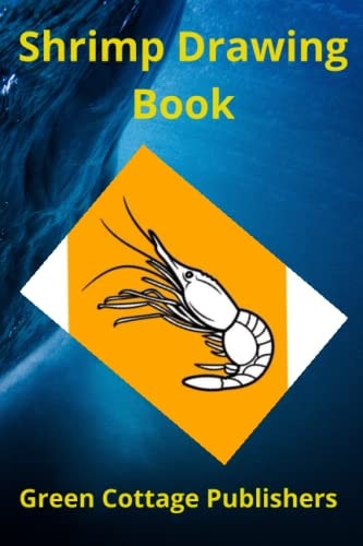 Shrimp Drawing Book Premium Quality Color Paper