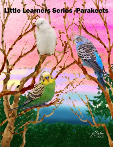 Little Learners Series Book 1 (K - 2nd Grade) Parakeets Deep Inside the Forest Elective