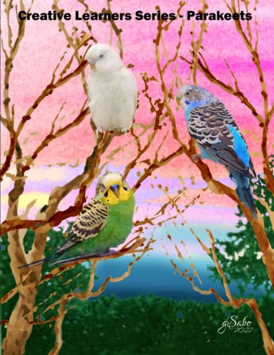 Creative Learners Series Book 1 (3rd to 7th) Parakeets Deep Inside the Forest Elective