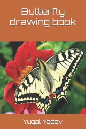 Butterfly Drawing Book