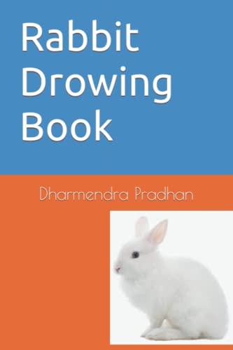Rabbit Drowing Book