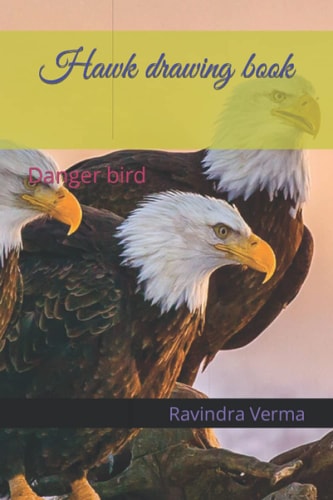 Hawk Drawing Book Danger Bird