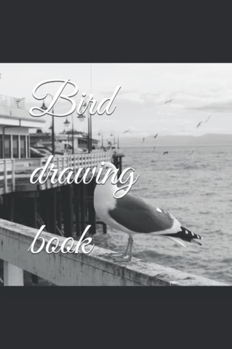 Bird Drawing Book
