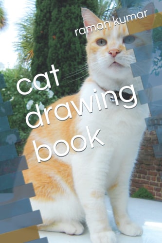 Cat Drawing Book