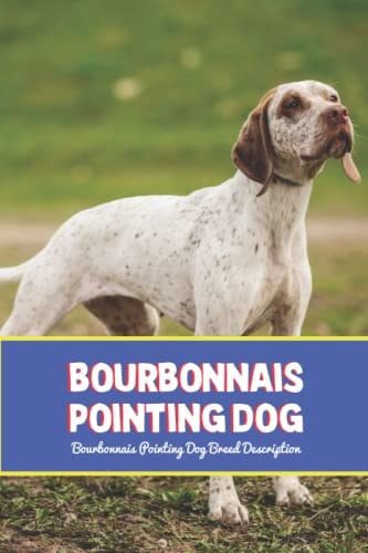 Bourbonnais Pointing Dog Bourbonnais Pointing Dog Breed Description