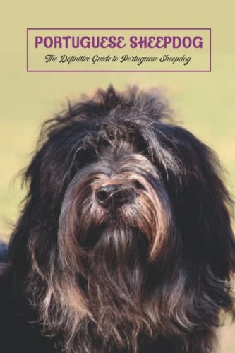Portuguese Sheepdog The Definitive Guide to Portuguese Sheepdog