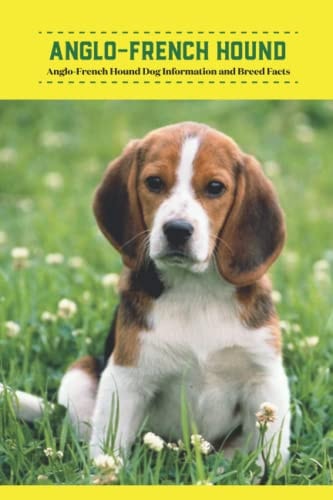 Anglo-French Hound Anglo-French Hound Dog Information and Breed Facts