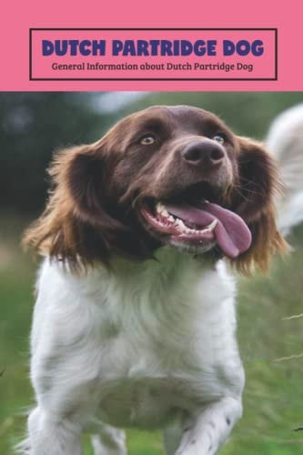 Dutch Partridge Dog General Information about Dutch Partridge Dog