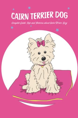Cairn Terrier Dog Complete Guide, Info and Pictures about Cairn Terrier Dog