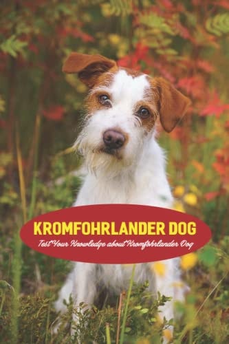 Kromfohrlander Dog Test Your Knowledge about Kromfohrlander Dog