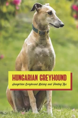 Hungarian Greyhound Hungarian Greyhound Raising and Feeding Tips