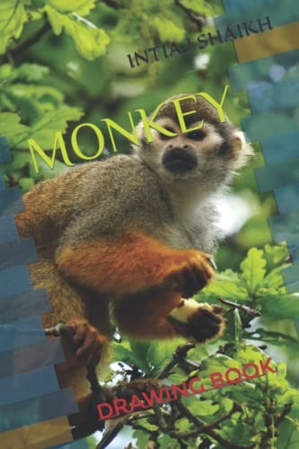 Monkey Drawing Book