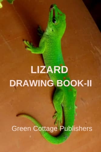 Lizard Drawing Book-II Premium Color Interior with White Paper
