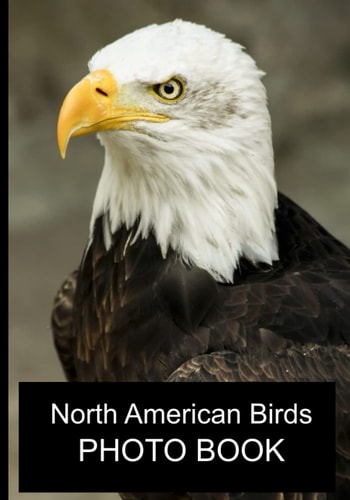 North American Birds Photo Book 40 Different Bird Photos With Identification Names For Alzheimer & Dementia Patients To Help With Memories and Memory Loss