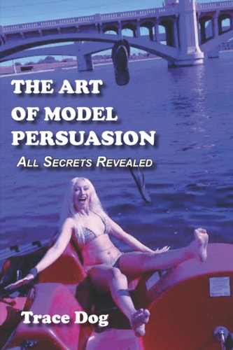 The Art of Model Persuasion All Secrets Revealed