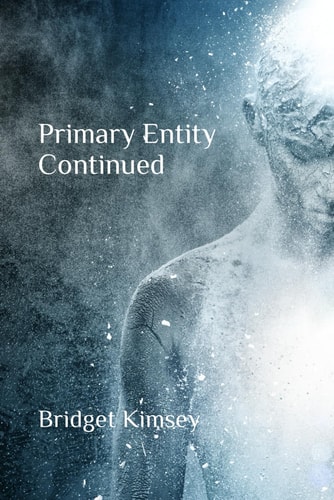 Primary Entity Continued