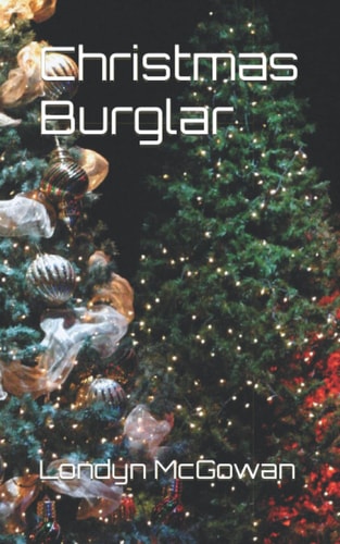 Christmas Burglar