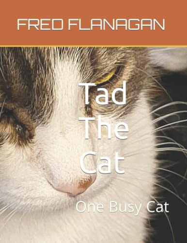 Tad The Cat One Busy Cat