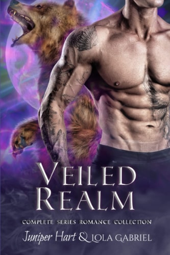 Veiled Realm Complete Series Romance Collection