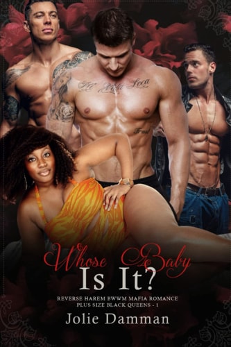 Whose Baby Is It? Reverse Harem BWWM Mafia Romance
