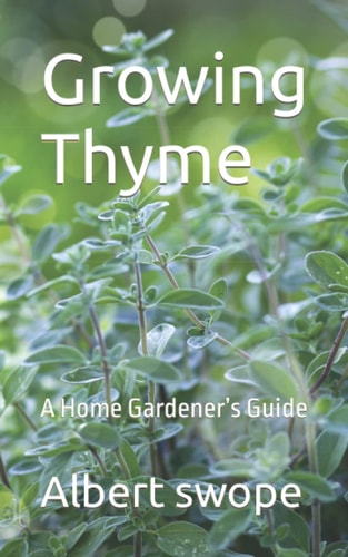 Growing Thyme A Home Gardener's Guide
