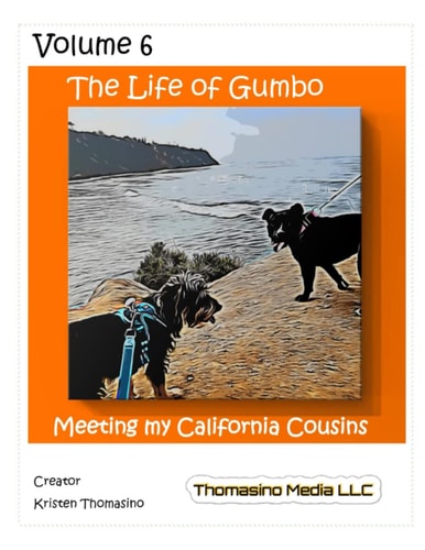 LIFE OF GUMBO, VOLUME 6, MEETING MY CALIFORNIA COUSINS.