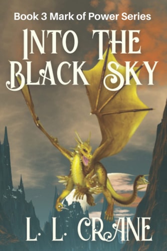 Into the Black Sky A Dystopian Fantasy Novel