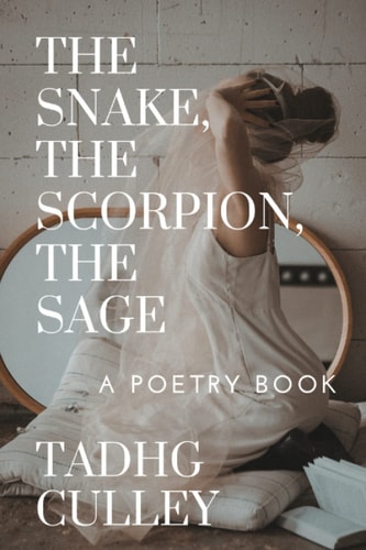 The Snake, The Scorpion, The Sage A Poetry Book