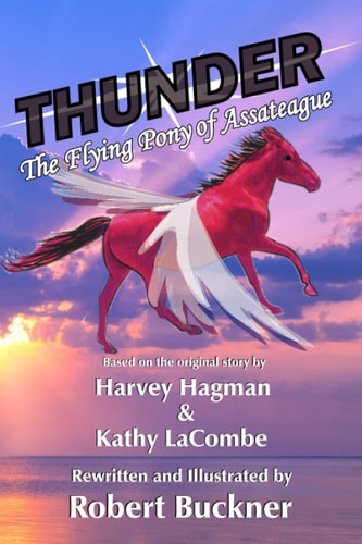 THUNDER, The Flying Pony of Assateague