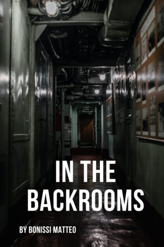 In the Backrooms A Survivor's Story