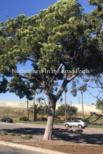 NOTHINGNESS IN THE ROAD FORTH.