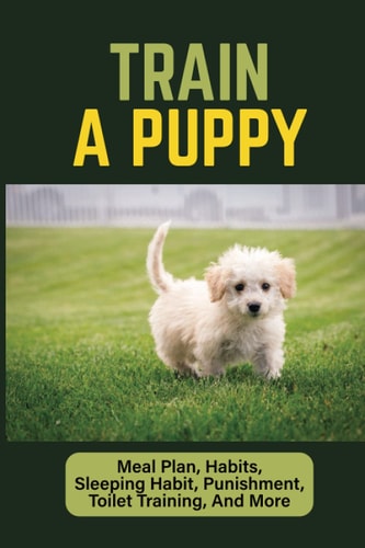 Train A Puppy Meal Plan, Habits, Sleeping Habit, Punishment, Toilet Training, And More: Behavior Training For Puppy