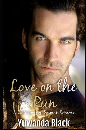 Love on the Run A Contemporary, Suspense Romance